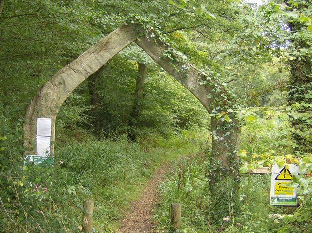 forest entrance