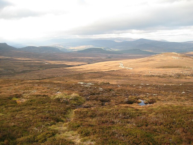 balmoral forest
