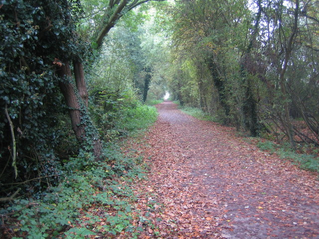 Swindon Dismantled Railway Line Near Nigel Cox Cc By Sa 2 0