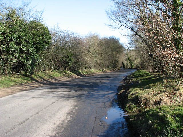 Bendy Road