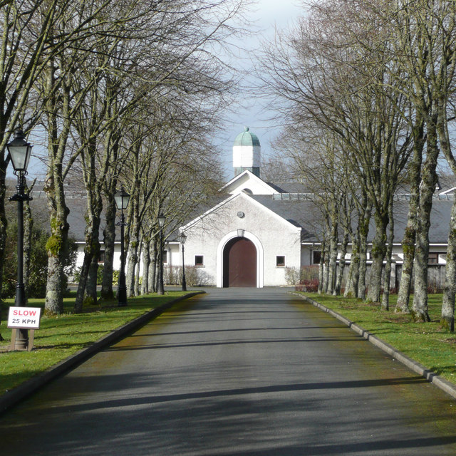 kildare stables