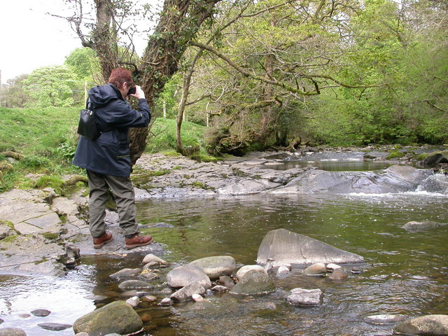 River Brock