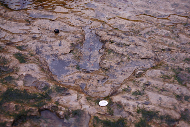 Dinosaur footprint in the rock. Is this how we see our digital footprint. Source: http://s0.geograph.org.uk/photos/74/49/744987_bb1f2e5b.jpg