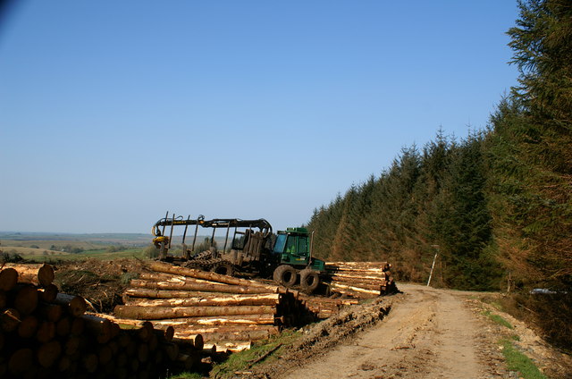 tree harvesting