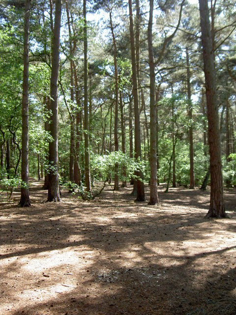 Royden Park