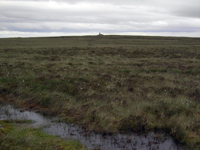 marshy-ground-colin-kinnear-geograph-britain-and-ireland