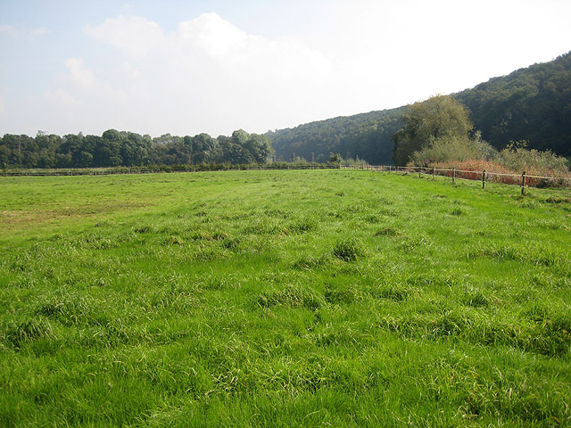 Embankment Of Dismantled Railway Pauline E Cc By Sa 2 0 Geograph