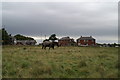 Station Avenue, Bickershaw