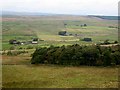 Hexagon Plantation and Melkridge Common