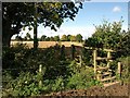 Stile and bridge near Upcott