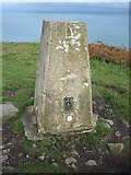 SN0041 : Trig point on exposed peninsula (Dinas Head) by Zorba the Geek