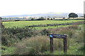 RSPB reserve Brading Marsh