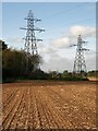 Pylons near Norton Fitzwarren