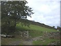 Gateway on farm track