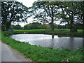 Duck pond at Cross House