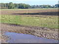 Footpath to Oldlands Copse