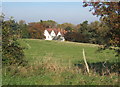 Across the field to Belstead Hall