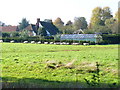 Ryde Farm from North-east