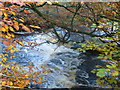 River Calder in Calderglen Country Park