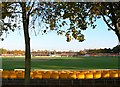 Autumn at Grace Road Cricket Ground