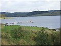 Stocks Reservoir fishery