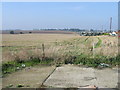 Farmland next to Manston Court Road