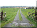 Track to Penpwll Farm