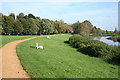 Langport: public parkland