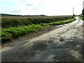 Cholderton Road, west of Quarley