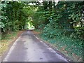 Cholderton Road, towards Quarley