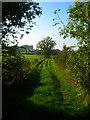 Farm Track near Gerston Farm