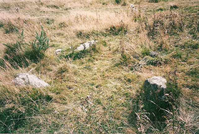 Tiny Stone Circle nr Shealwalls Farm