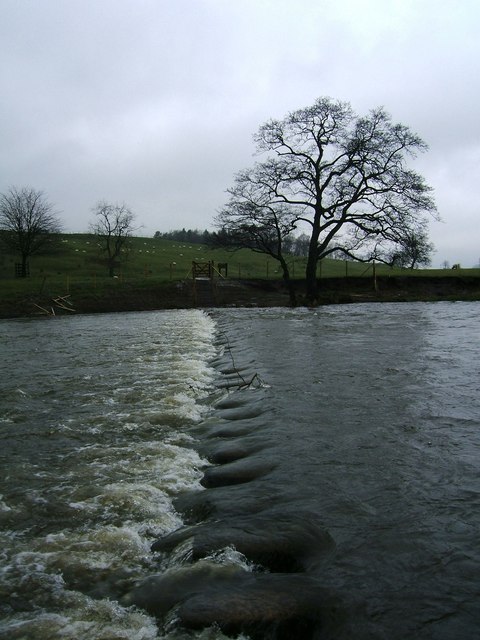 Submerged stepping stones