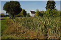 Pond beside the Plough and Harrow