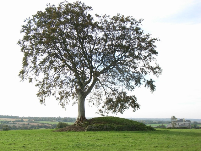 Mound at Rathcoon, near Navan, Co. Meath
