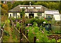 Allotments, Moncreiffe Island