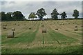 Fields south of Coupar Angus