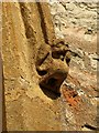 Label stop, Church of St Peter & St Paul, Bishop