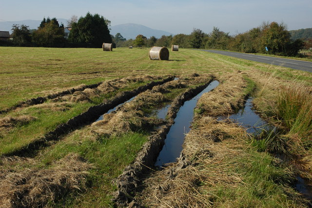 soft-verges-philip-halling-cc-by-sa-2-0-geograph-britain-and-ireland