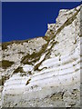 SY7780 : Lower Chalk cliffs, White Nothe by Jim Champion
