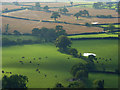 SO4896 : Farmland, Comley by Andrew Smith