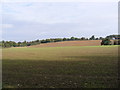 TM3861 : Farmland between Kiln Lane and Grays Lane by Geographer