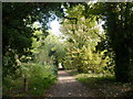 Footpath from the Oare Gunpowder Works Country Park onto the Western Link Road