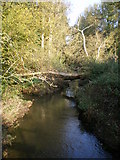 SO3385 : River Kemp downstream of the ford by Richard Law