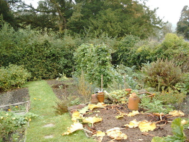 Vegetable Garden At Hill Top In October C Darrin Antrobus