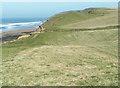 Coast path north of Bude heading to Sandymouth