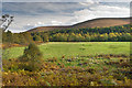 Field near Woodend