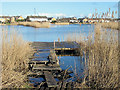 Dunwear Ponds, Bridgwater