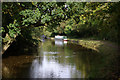 Llangollen Canal, Rhoswiel