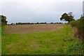 Countryside near Stalbridge